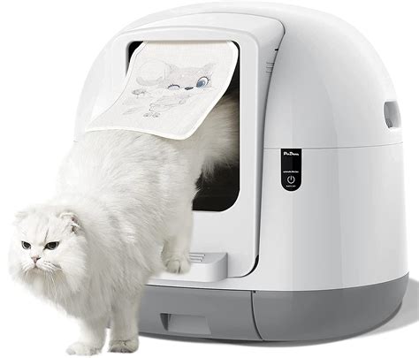 best electric cat litter box for big cats|inexpensive automatic litter box.